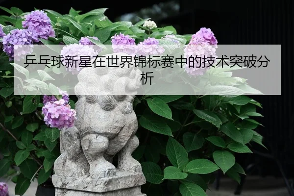 乒乓球新星在世界锦标赛中的技术突破分析
