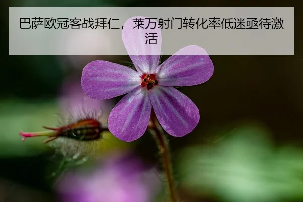 巴萨欧冠客战拜仁，莱万射门转化率低迷亟待激活