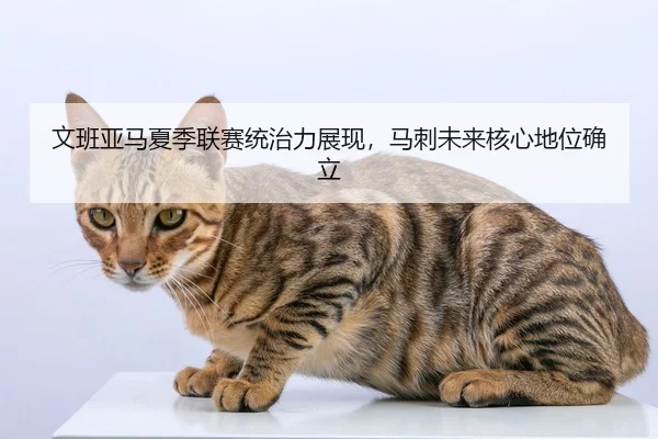 文班亚马夏季联赛统治力展现，马刺未来核心地位确立