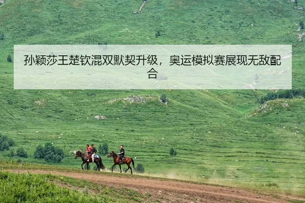 孙颖莎王楚钦混双默契升级，奥运模拟赛展现无敌配合